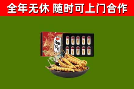 沾益烟酒回收冬虫夏草礼盒.jpg